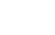 Background Verified Inspector Logo